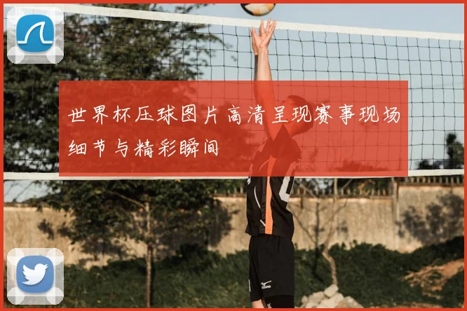 世界杯压球图片高清呈现赛事现场细节与精彩瞬间