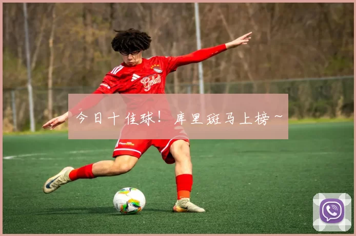 今日十佳球!库里斑马上榜~