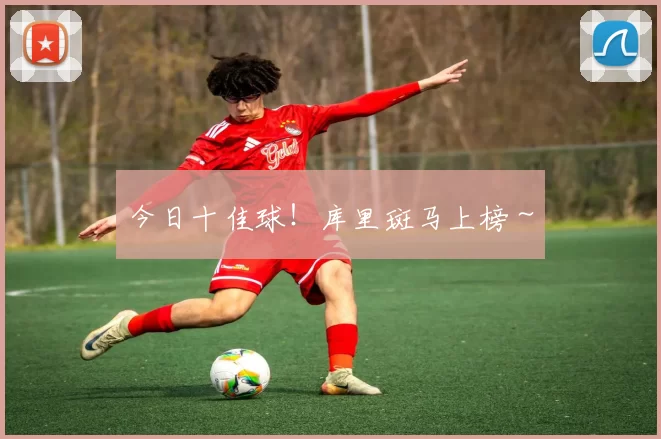 今日十佳球!库里斑马上榜~